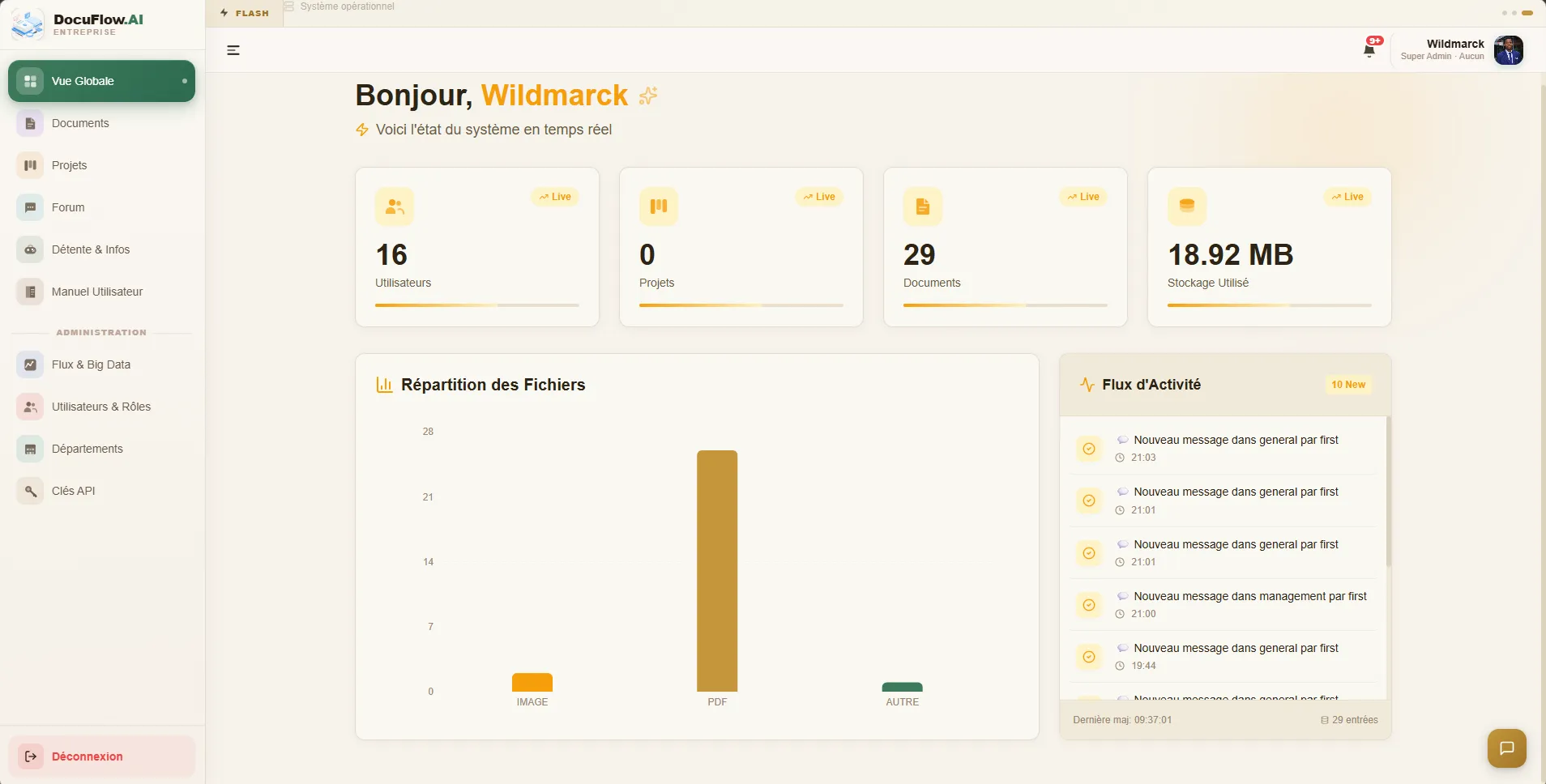 DocuFlow.AI analytics dashboard